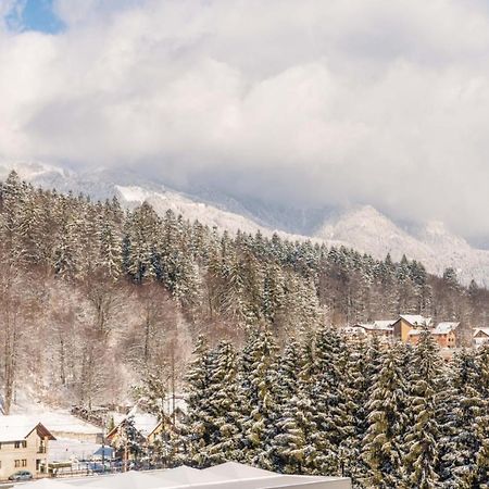 Bucegi View 39 - Colina Marei Daire Sinaia Dış mekan fotoğraf