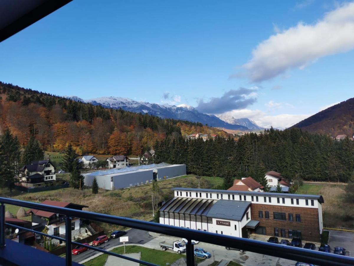 Bucegi View 39 - Colina Marei Daire Sinaia Dış mekan fotoğraf
