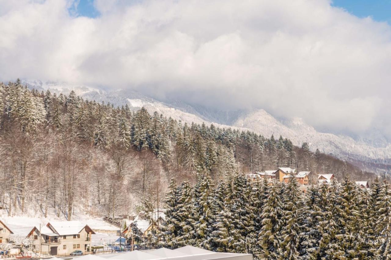 Bucegi View 39 - Colina Marei Daire Sinaia Dış mekan fotoğraf
