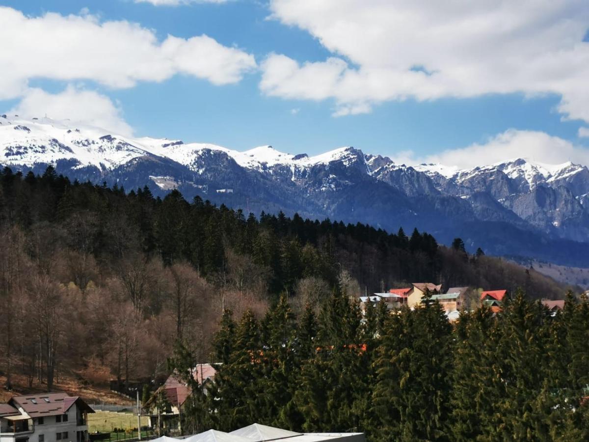 Bucegi View 39 - Colina Marei Daire Sinaia Dış mekan fotoğraf