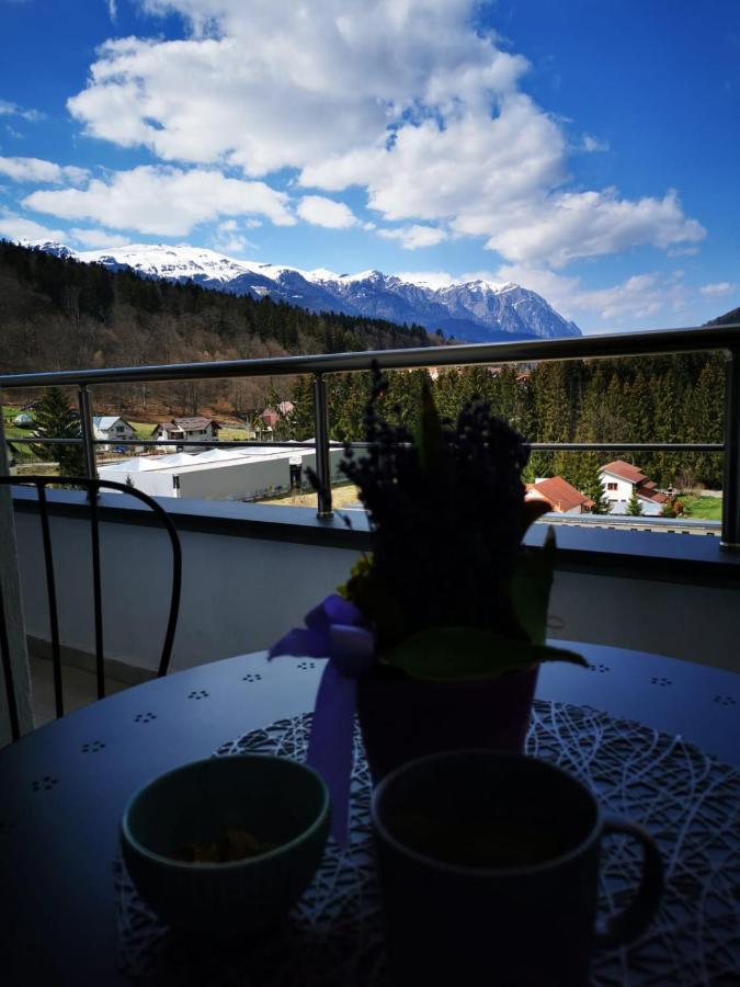 Bucegi View 39 - Colina Marei Daire Sinaia Dış mekan fotoğraf